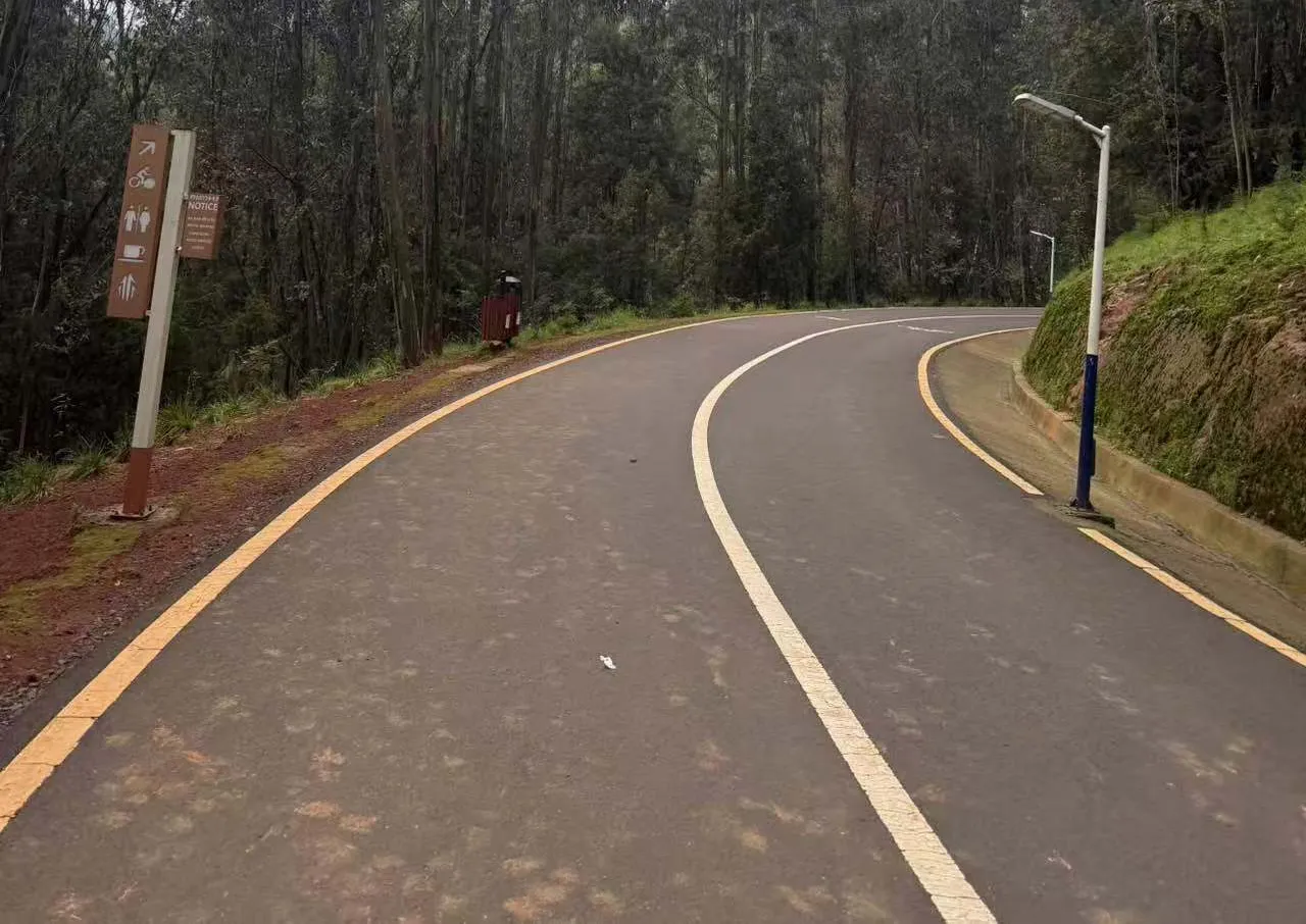 Recommend LED Street Light Solution for Park Road in Ethiopia